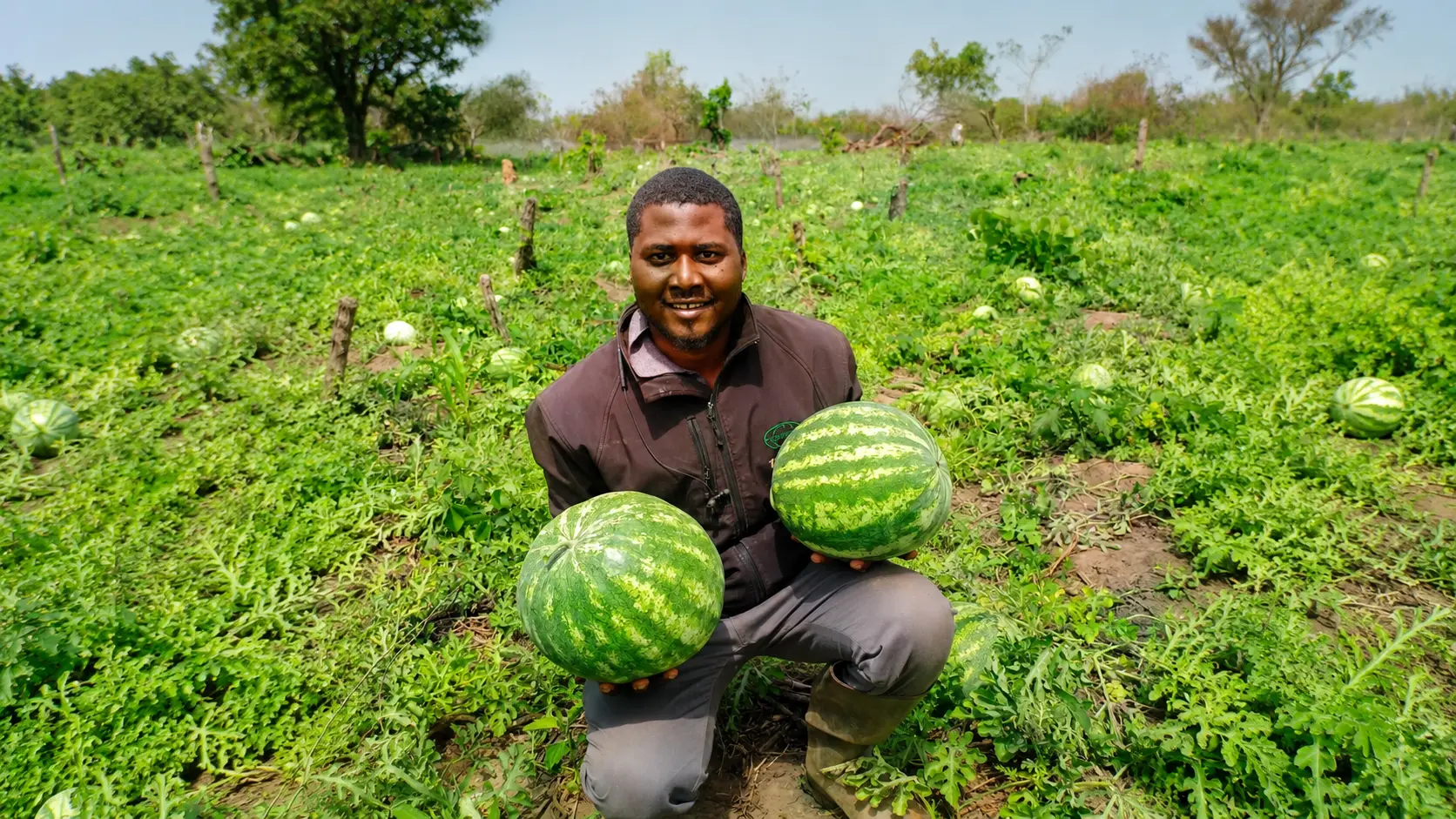 Agronome de Services Agro au travail dans un champ